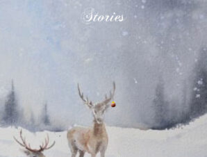 113-4-Front-Cover-Web